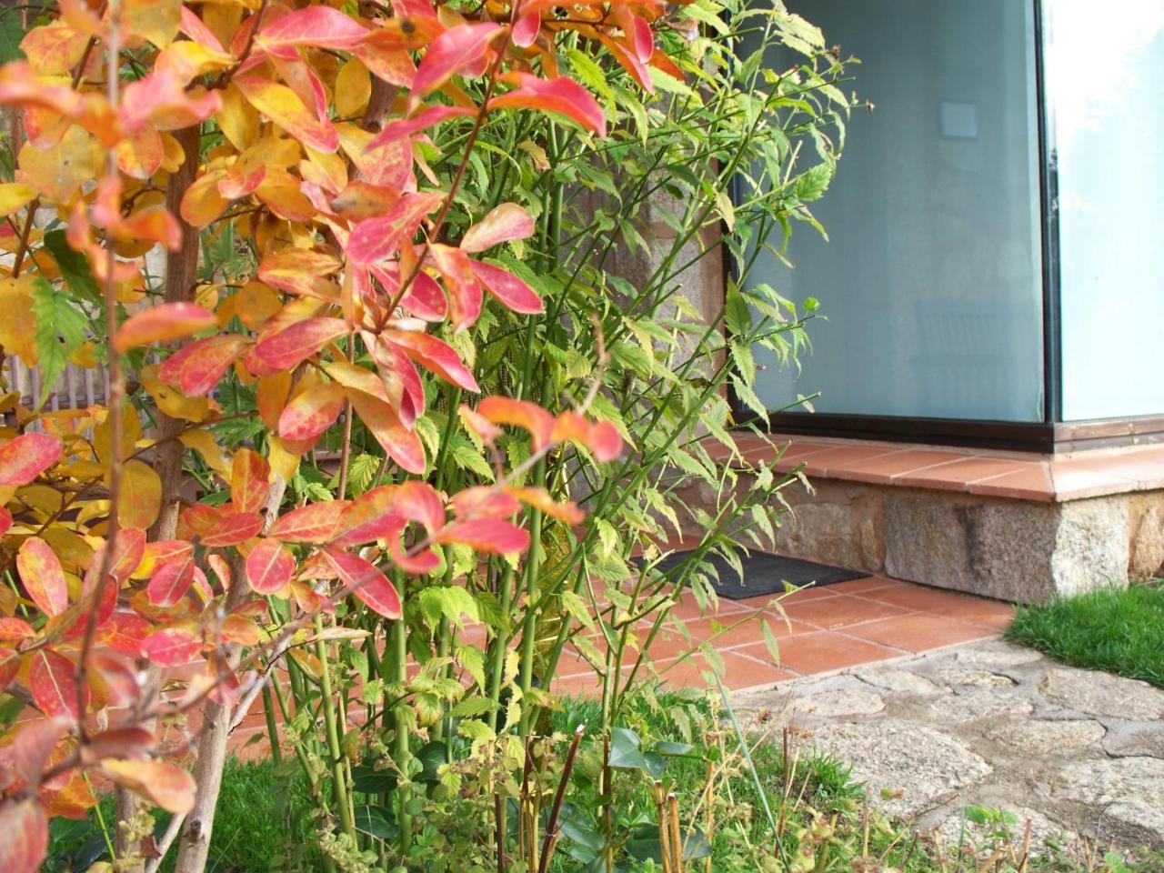 Valverde de la Vera Apartamentos El Roble מראה חיצוני תמונה