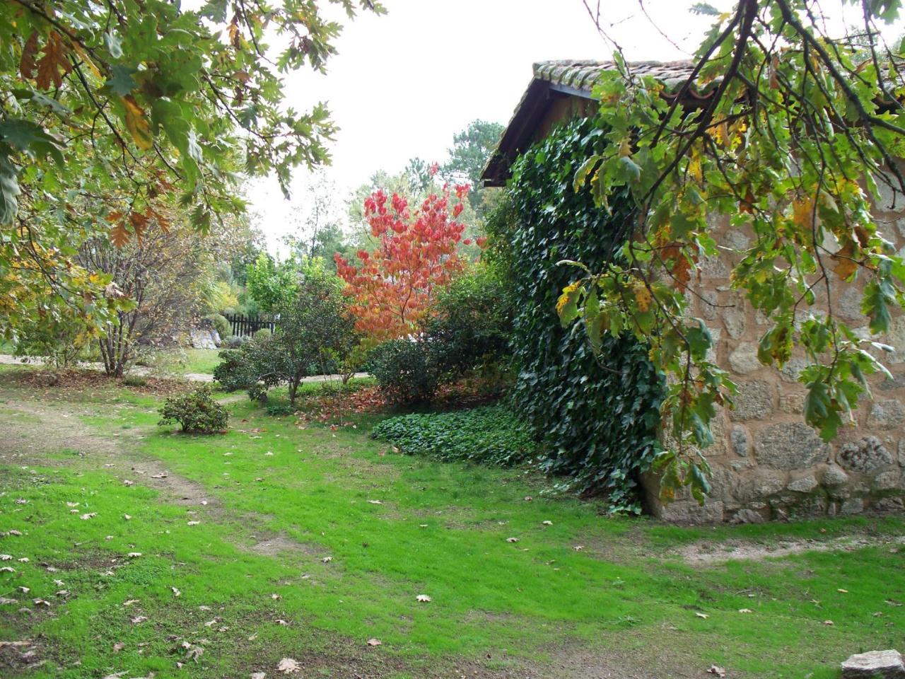 Valverde de la Vera Apartamentos El Roble מראה חיצוני תמונה